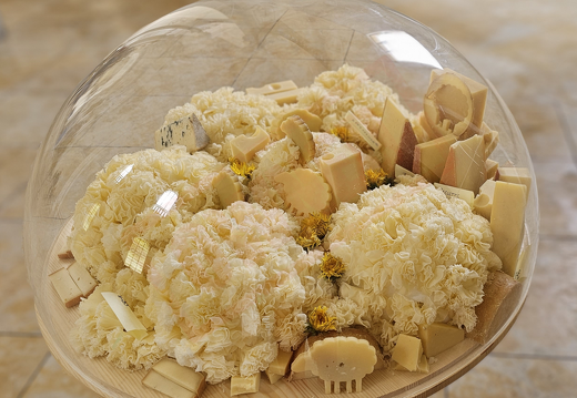 fTDM concours Plateau-Fromages Abbatiale Bellelay-20230506 132943