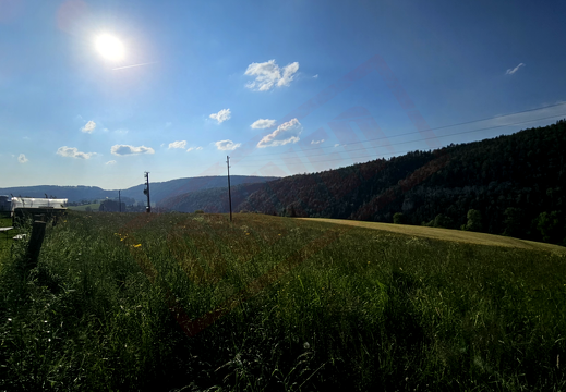 gagygnole-souboz 20230603 184041