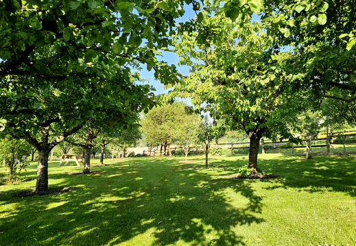 gagygnole-souboz 20230603 184209