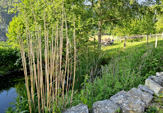 gagygnole-souboz 20230603 190707