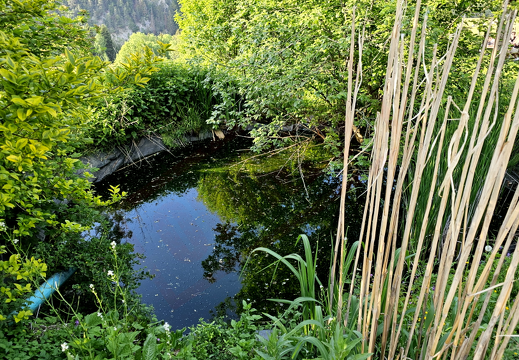 gagygnole-souboz 20230603 190712