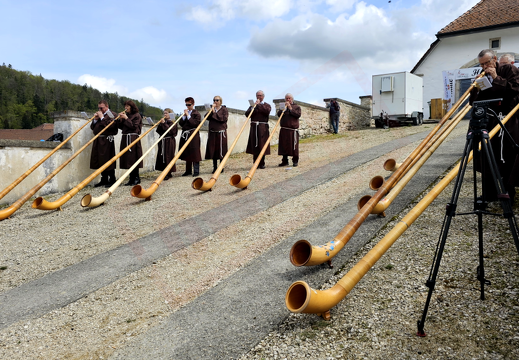 fTDM-6e cor-de-alpes (2682 visits) fTDM-6e cor-de-alpes