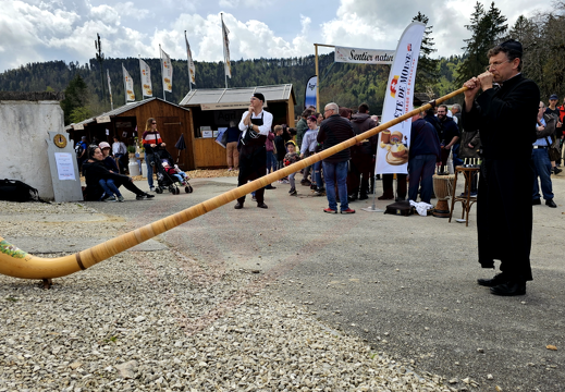 fTDM-6e-cor-des-alpes 4 (2575 visits) fTDM-6e-cor-des-alpes 4
