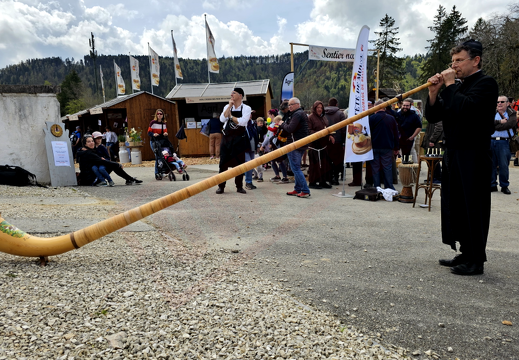 fTDM-6e-cor-des-alpes 5 (2551 visits) fTDM-6e-cor-des-alpes 5